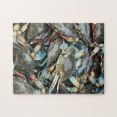 Krab kruipt over stenen kust kleurrijke Natuur Zee Legpuzzel (Horizontaal)