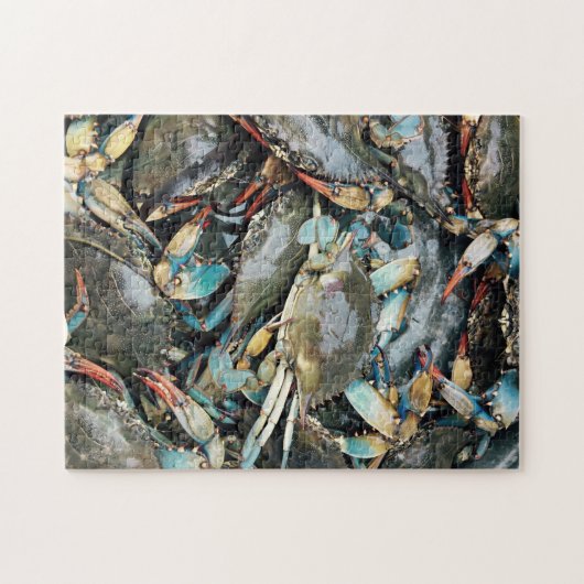 Krab kruipt over stenen kust kleurrijke Natuur Zee Legpuzzel (Horizontaal)