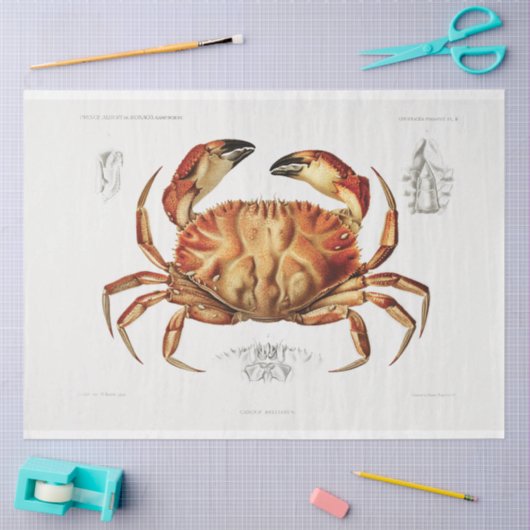  krab kunstwerk art decoupage tissuepapier (Craft)