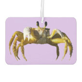 krab luchtverfrisser (Achterkant)