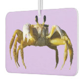 krab luchtverfrisser (Links)