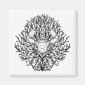 krab magneet (Voorkant)