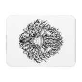 krab magneet (Horizontaal)