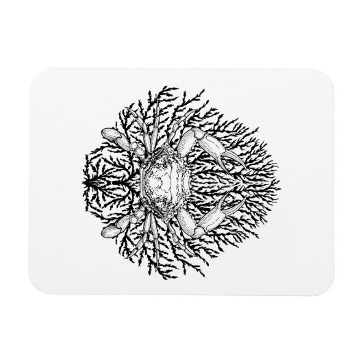 krab magneet (Horizontaal)