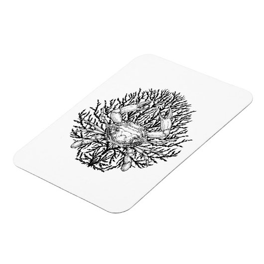 krab magneet (Linkerzijde)