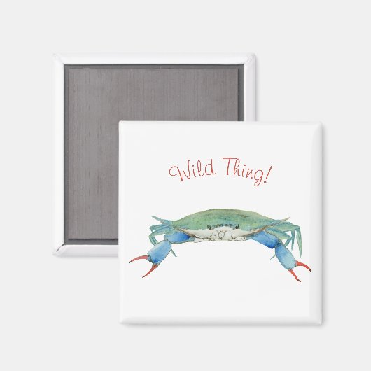 krab magneet (Voorkant / Achterkant)