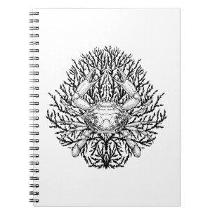 krab notitieboek
