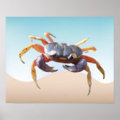Krab op de strand poster (Voorkant)
