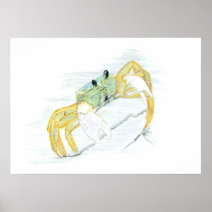 Krab op de strand poster