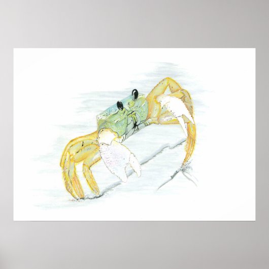 Krab op de strand poster (Voorkant)
