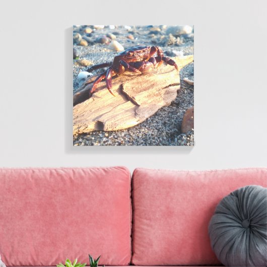 Krab op Driftwood Canvas afdrukken (Insitu (Woonkamer))