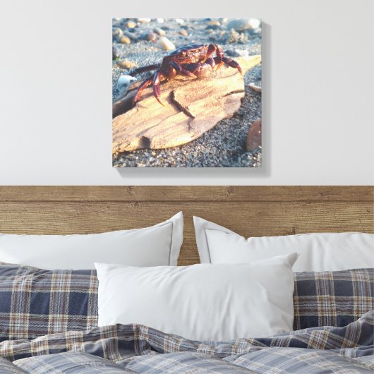 Krab op Driftwood Canvas afdrukken (Insitu (Slaapkamer))