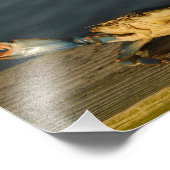 Krab op hout, 8x10 afdrukken foto afdruk (Hoek)