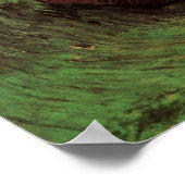 Krab op zijn rug door Vincent van Gogh Poster (Hoek)