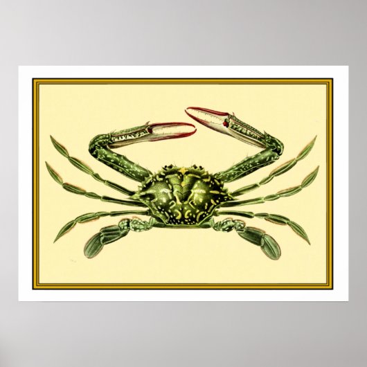 krab poster (Voorkant)
