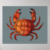 krab poster (Voorkant)