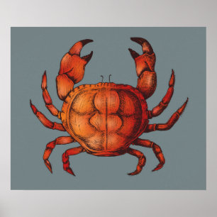 krab poster