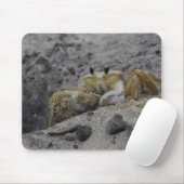 Krab, schaaldier, zand muismat (Met muis)