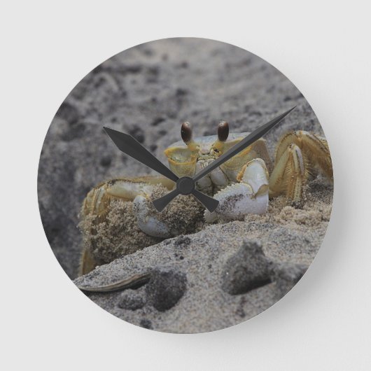 Krab, schaaldier, zand ronde klok (Voorkant)