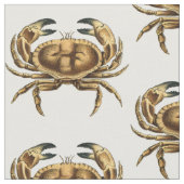  krab stof (Close Up)