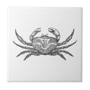 krab tegeltje