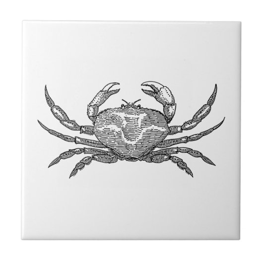 krab tegeltje (Voorkant)
