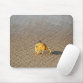 Krab, zee, oceaan muismat (Met muis)