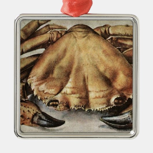 Krab (Zeedier) (door Albrecht Durer) Metalen Ornament (Voorkant)