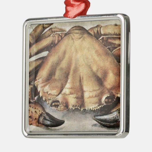 Krab (Zeedier) (door Albrecht Durer) Metalen Ornament (Links)