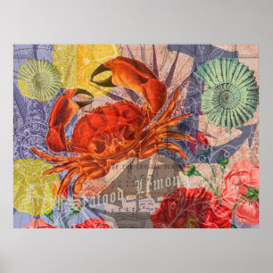 Krab Zeevaart Strand Zeevocht Kunst Poster