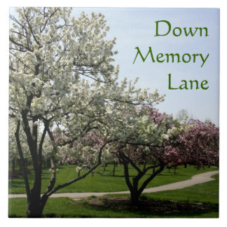 Krabappelbomen Tegeltje