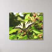 Krabappels en vlinders canvas afdruk (Voorkant)