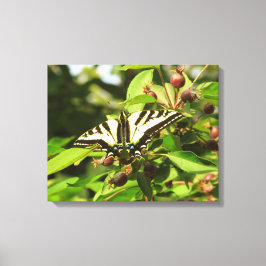 Krabappels en vlinders canvas afdruk