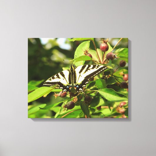 Krabappels en vlinders canvas afdruk (Voorkant)