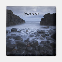 Krabbels en Rocks langs de Ocean Shoreline Magnet