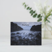 Krabbels en Rocks langs de Ocean Shoreline Postca Briefkaart (Staand voorkant)