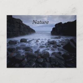 Krabbels en Rocks langs de Ocean Shoreline Postca Briefkaart