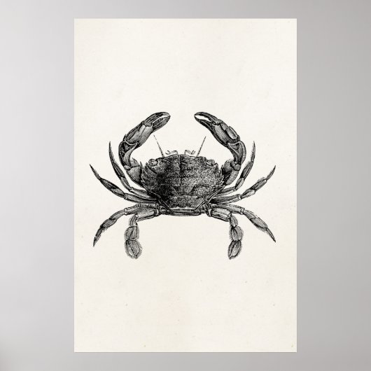 krabben Antiek krabben Persoonlijke Sjabloon Poster (Voorkant)