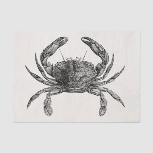 krabben Antiek krabben Persoonlijke Sjabloon Tissuepapier (Voorkant)