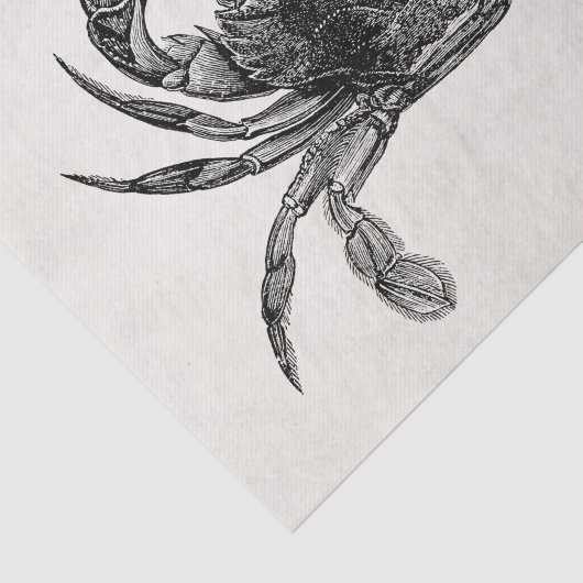 krabben Antiek krabben Persoonlijke Sjabloon Tissuepapier (Detail)