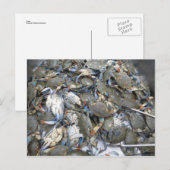 Krabben Briefkaart (Voorkant / Achterkant)