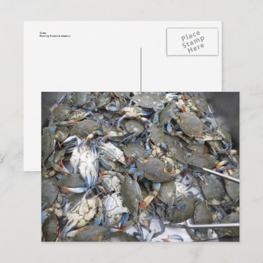 Krabben Briefkaart (Voorkant / Achterkant)