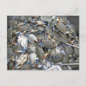 Krabben Briefkaart (Voorkant)