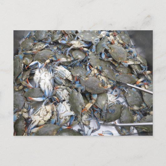 Krabben Briefkaart (Voorkant)