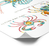 Krabben en garnalen op elke achtergrond poster (Hoek)