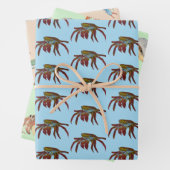 Krabben Inpakpapier Vel (In situ)