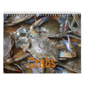 Krabben (kalender 2010) kalender (Hoes)