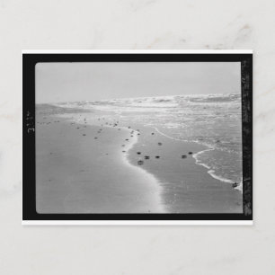 Krabben op het strand. Bij Wadi Ghuzze 1920-1933.t Briefkaart