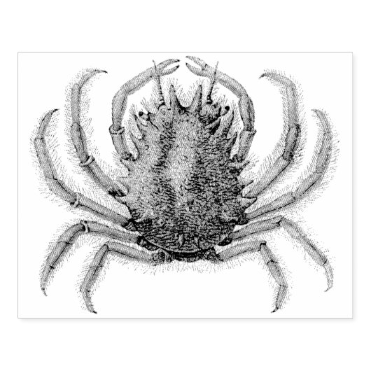 krabben Rubber Kunststempel Rubberstempel (Afrduk)