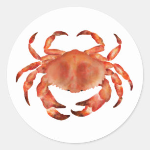 Krabben Zeezijde Kust Nautisch Ronde Sticker